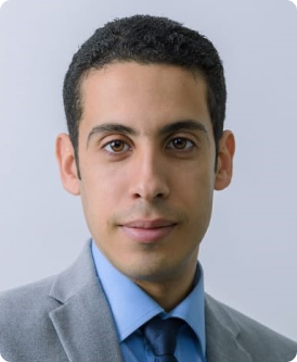 El Mehdi Boumehraz image